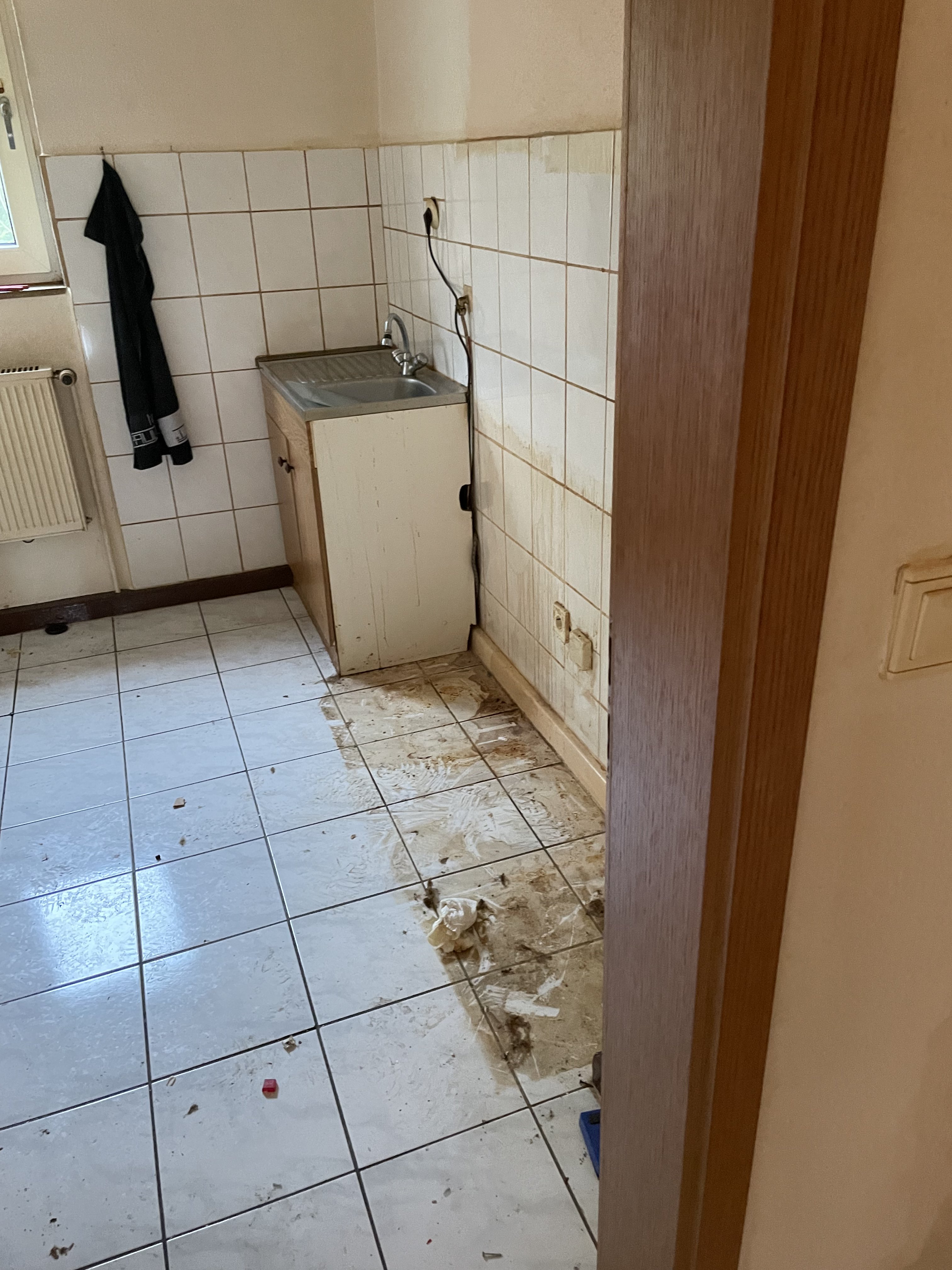 Küche vor Renovierung